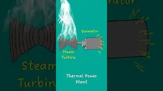 How thermal power plants generate electricity?  