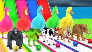 Basket Ball Game Game With Cow Elephant Gorilla Tiger Dinosaur Wild Animals Escape Cage Tire Game