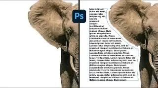 Contorna con testo in Photoshop - Photoshop Tutorial