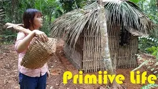 Primitive Technology: Make a wild hut with natural plants