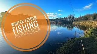 Winter Feeder Fishing On The River Ribble