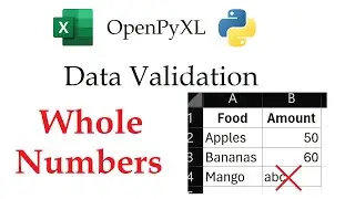 OpenPyXL - Whole Number Data Validation in Excel Workbooks with Python | Data Automation