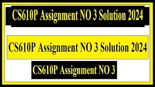 CS610P Assignment NO 3 Solution 2024