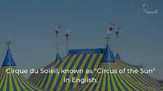 Cirque du Soleil, Las Vegas Guide - What to do, When to visit, How to reach, Cost  Tripspell