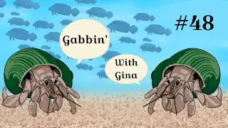 Gabbin' With Gina #48