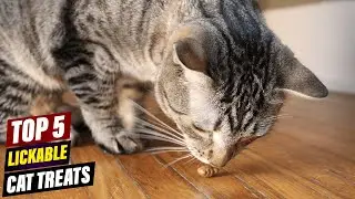 Homemade Lickable Cat Treats: Easy, Nutritious, & Budget-Friendly