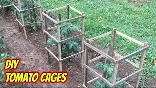 Easy DIY  TOMATO CAGES