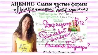 Макроцитарная гиперхромная анемия: причины и лечение