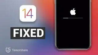iOS 14 iPhone Stuck on Loading Bar. How to Fix it?