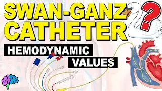 Normal Hemodynamic Values - Pulmonary Artery (PA) Catheter