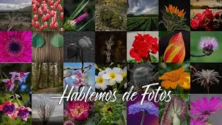 ¿Cómo tomar fotos de FLORA?