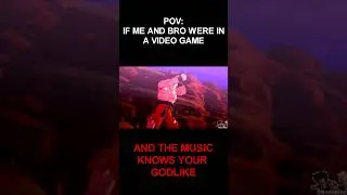 POV: If Me And Bro Were In A Video Game 