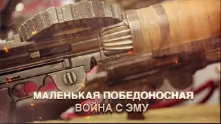 Маленькая победоносная война с Эму
