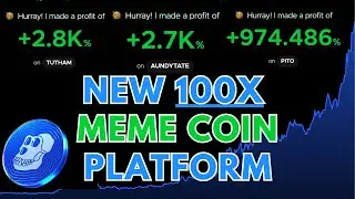NEW 100x Meme Coin Blockchain - Ape Express (How to Guide)