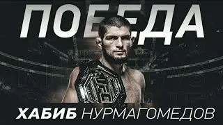 ХАБИБ НУРМАГОМЕДОВ - ДЖАСТИН ГЭТЖИ/ ПРОГНОЗ НА UFC 254