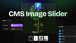 Image Slider + Framer CMS - How to connect and control