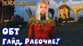 Metalrus - Black Desert Online. РуОБТ. Гайд. Наёмные рабочие!