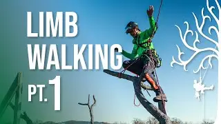 Limb Walking Tricks Techniques for Climbing Trees SRT Pt.1