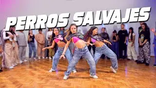 DADDY YANKEE | PERROS SALVAJES (Official Video) | Coreografía por Emir Abdul Gani🕺