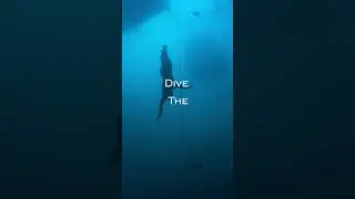 @AlexeyMolchanov 156m/ 510ft on one breath, 30+ world records “Dive The Line” film coming 11.19.23