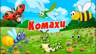 Комахи для дітей. Загадки про комах для дітей. Розвиваючі мультики українською.