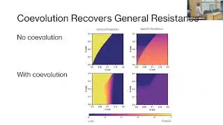 Does host-pathogen coevolution increase the risk of foreign pathogen invasion?