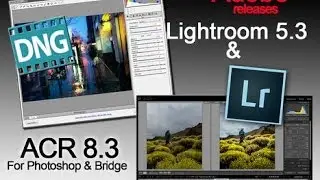 Camera Raw vs Lightroom