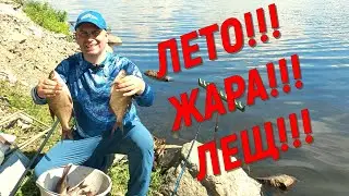 Лето!!! Жара!!! Лещ!!!