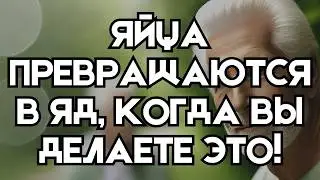 Ошибки, которые делают яйца опасными для здоровья пожилых