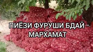 ПИЁЗИ ФУРУШИ БДАЙ МАРХАМАТ!