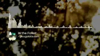 Ambience - In the Forest