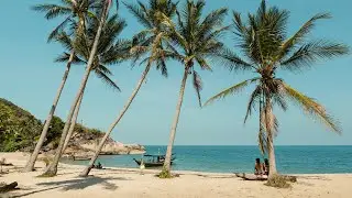 Tropical Beach Bossa Nova Cafe Ambience with Relaxing Waves Sounds for Stress Relief