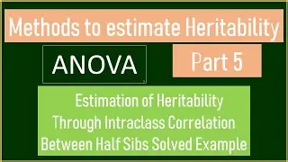 Estimation of Heritability Part 5 | Intraclass  Correlation Between Half Sibs | ANOVA