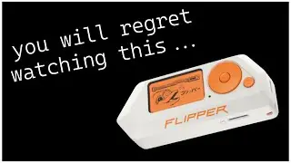 y'all asked for a flipper video, this isn't my fault...