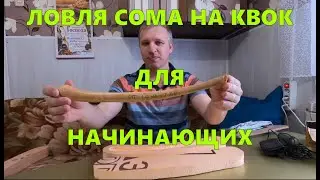 Ловля сома на квок, для начинающих \ #квок #сом #сомнаквок