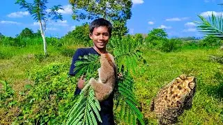 Lo and behold, I found and touch very cute but deadly animal