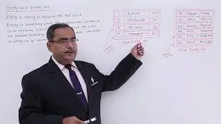 DBMS - Entity and Entity set