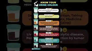 Colour of urine and what it means | Urine color | Red urine 