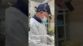 Наш опытный Лор-врач Магомед Магомедович подарит вам свободное дыхание !✨