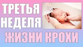 Ребенок на 3 недели жизни РАЗВИТИЕ МАЛЫША В ПЕРВЫЙ МЕСЯЦ ЖИЗНИ