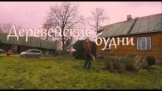 Видео ни о чем. // Жизнь на хуторе