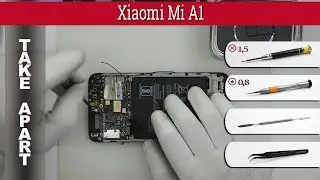 How to disassemble 📱 Xiaomi Mi A1 (MDG2) Take apart Tutorial