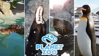 Every NEW AQUATIC PACK ANIMAL & Item Revealed!! 🐧 Planet Zoo: Aquatic Pack Overview