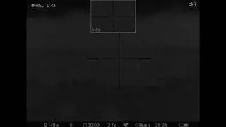 Охота на лису с 22LR / Fox hunting with 22LR