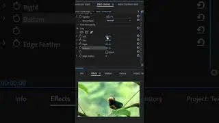 How to Crop video | Premiere Pro tutorial