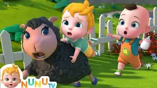 Baa Baa Black Sheep Song | Nursery Rhymes & Kids Songs | NuNu Tv Baby Songs