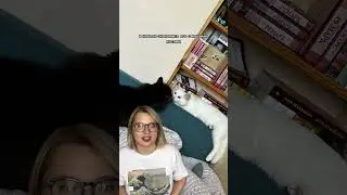 Продолжение истории, получается 😌