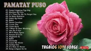 Victor Wood, Roel Cortez, Eddie Peregrina, Imelda Papin, Willy Garte 💖 Classic Songs Filipino