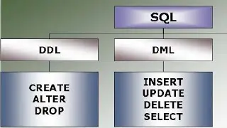 SQL in a Nutshell 2024