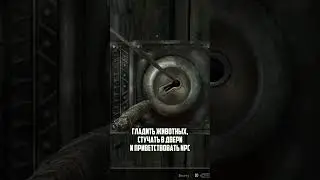 РЕАЛЬНО иммерсивные анимации для Скайрима #skyrim  #моды